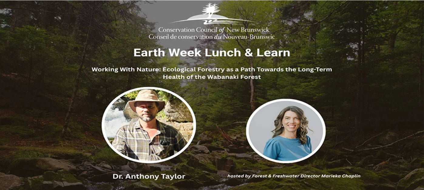 Working With Nature: Ecological Forestry as a Path Towards the Long-Term Health of the Wabanaki Forest
